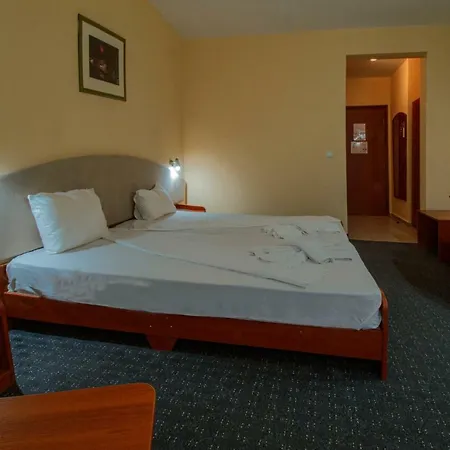 Hotel Royal Central-3